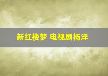 新红楼梦 电视剧杨洋